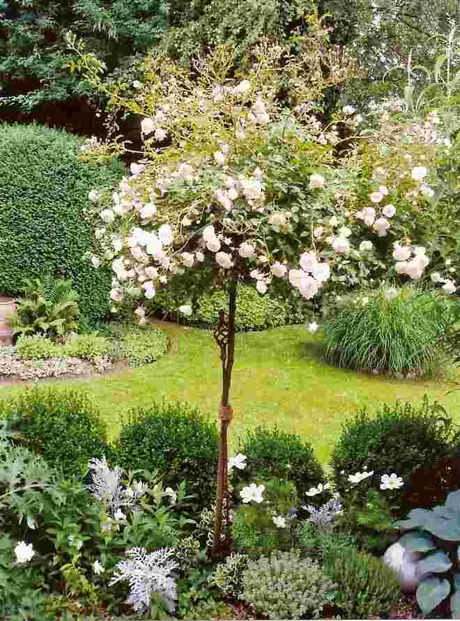 Mein Garten