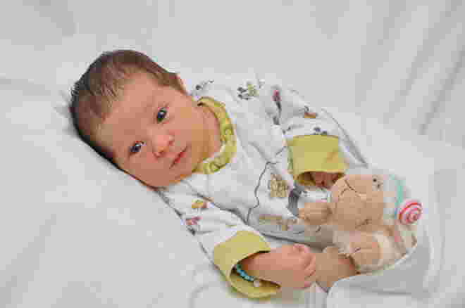Sebastian Buchner