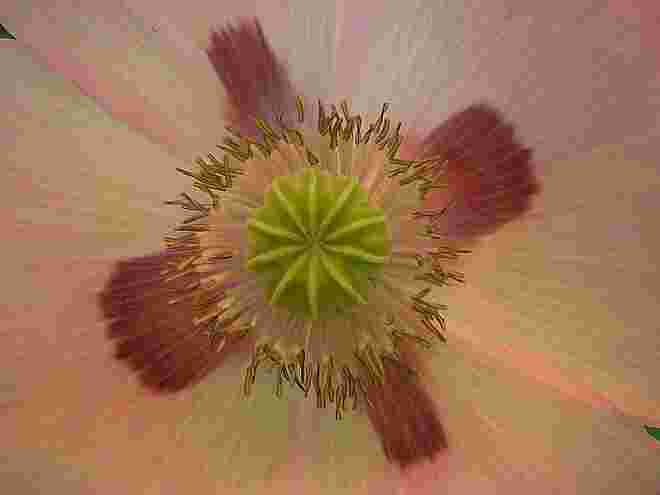 Kaleidoskop