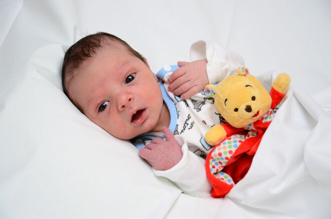 Maximilian Rehberger