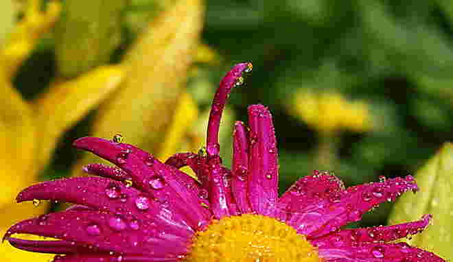 Nach dem Regen