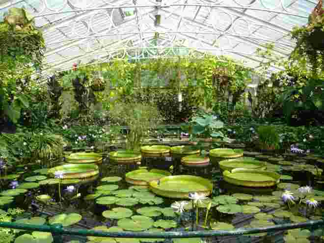 Kew Garden