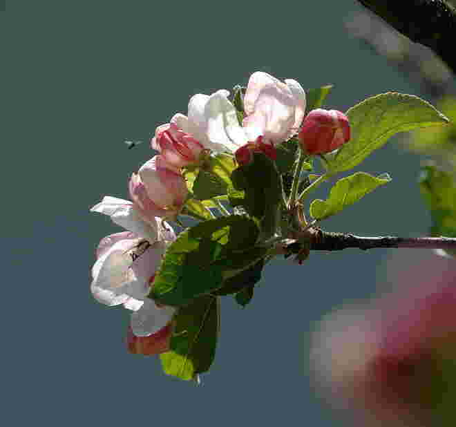 Flugbetrieb