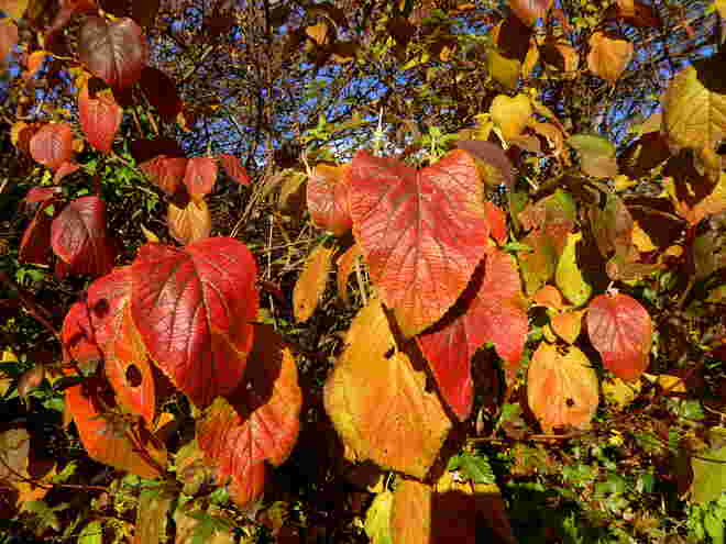 Herbst..