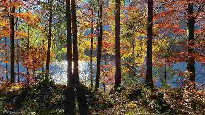 Ein Farbentraum am See
