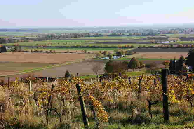 Das weite Land