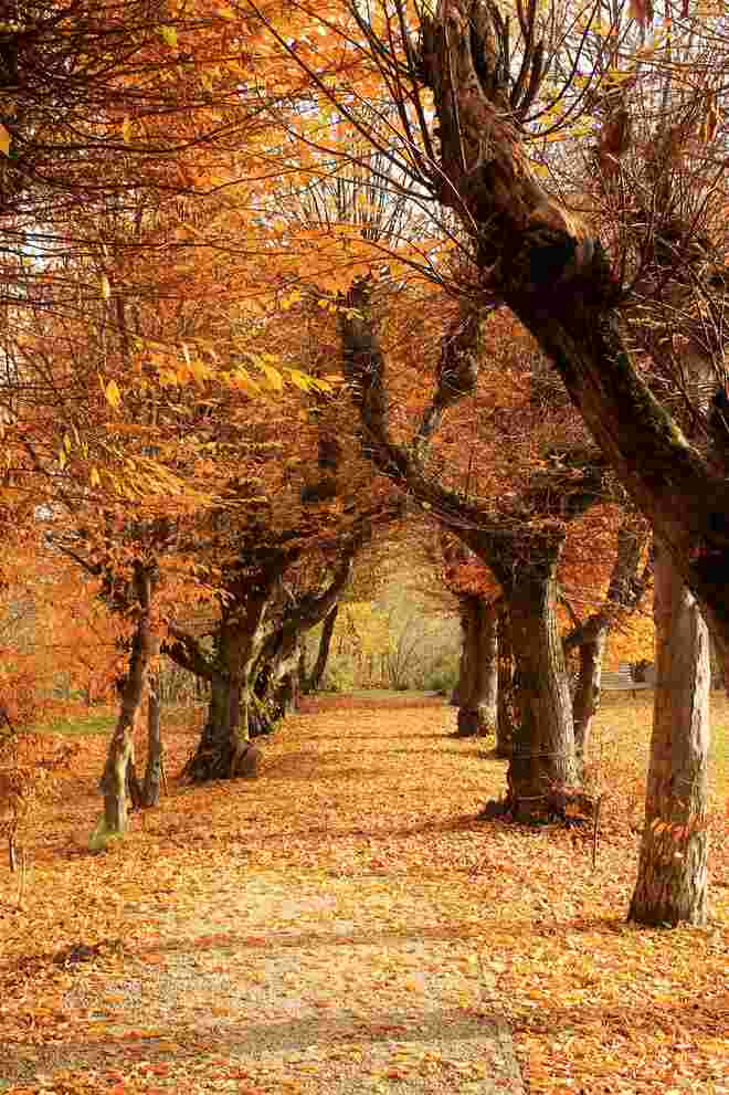 Stiftsgarten Reichersberg