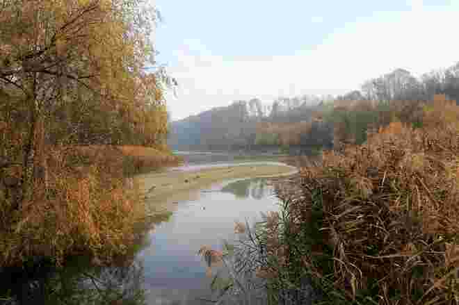 Innauen