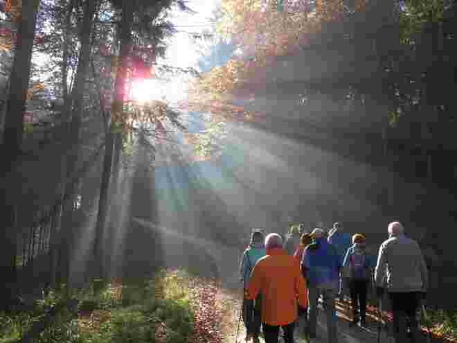 Der Sonne entgegen