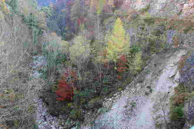 In der Schlucht