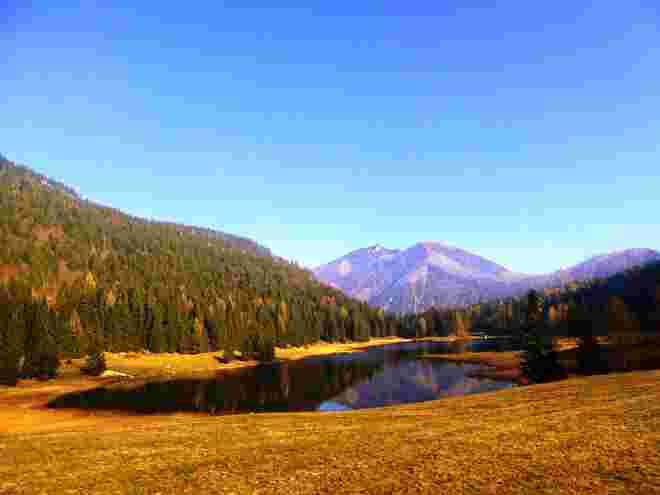 der Seewaldsee