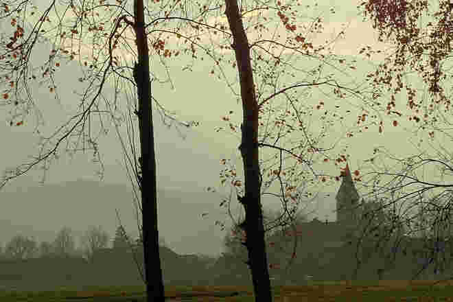 Novemberbild