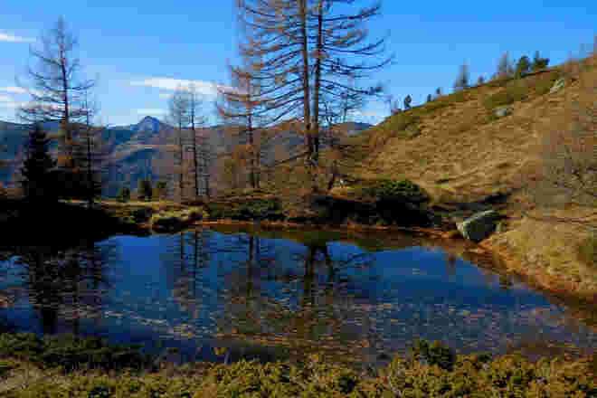 Dunkle Lacke im Spätherbst