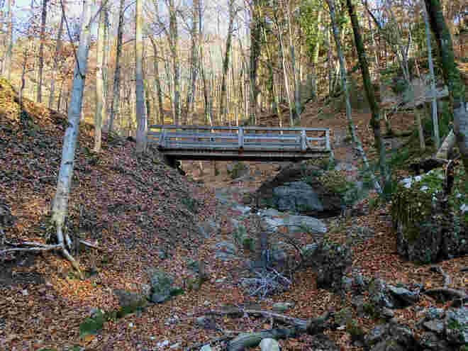 im aigner park