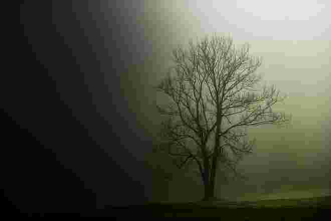 Herbstbaum...........