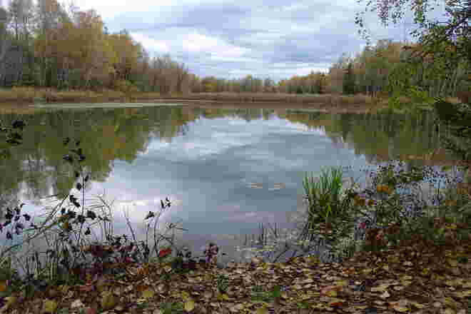 Am Moorsee