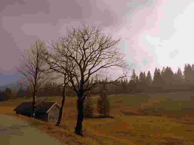 der Weg zum Seewaldsee