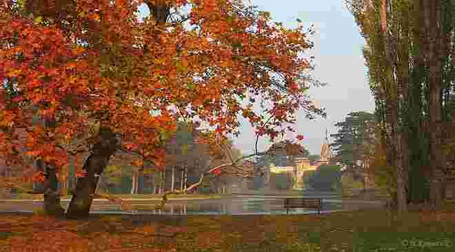 Herbst im Schlosspark