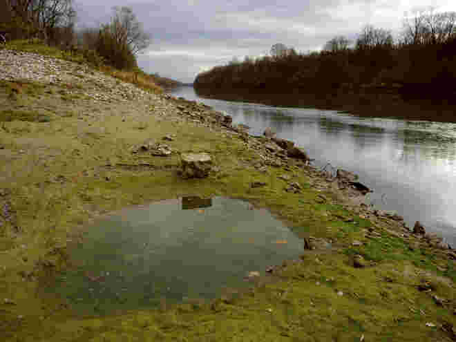 Salzach vor Oberndorf