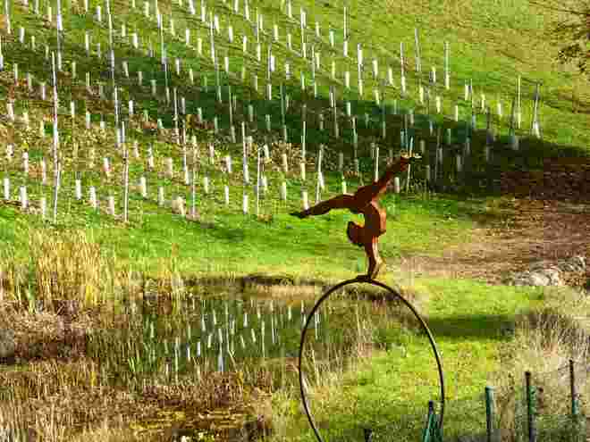 Wein und Kunst