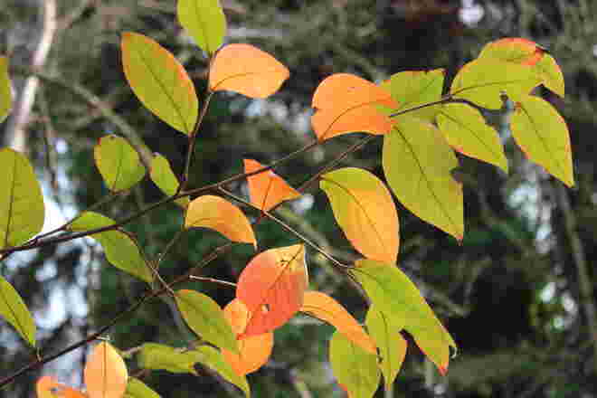 Abschied vom Herbst