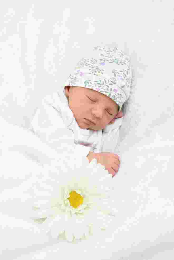 Maya Sophie Pomock