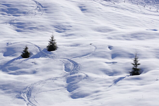 Späte Winterfreuden
