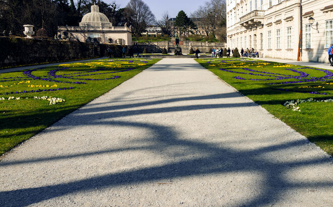 Schön langsam wird es wieder Bunt