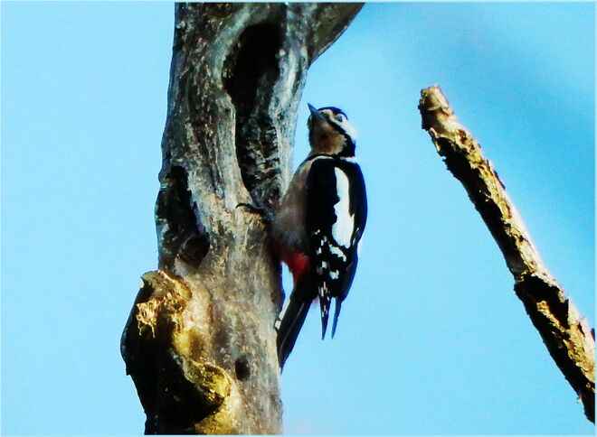 Schöne Aussicht hat er
