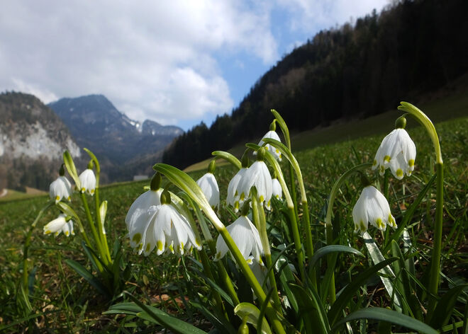 Der Frühling setzt sich durch