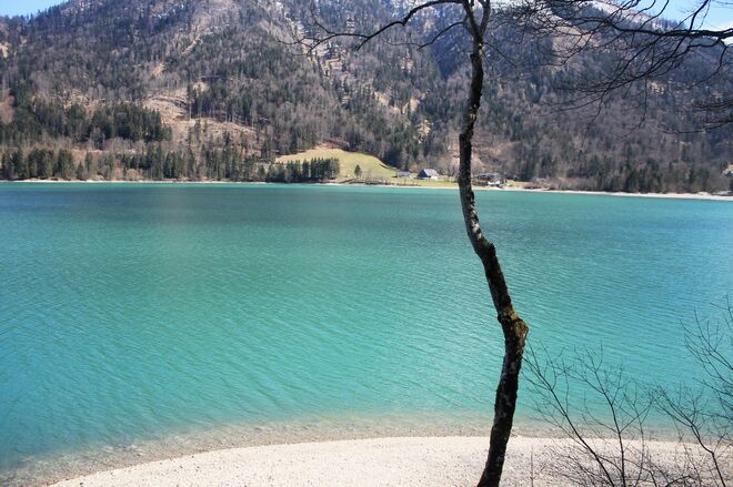 Hintersee