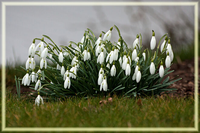 Heute sind sie wieder schneebedeckt...