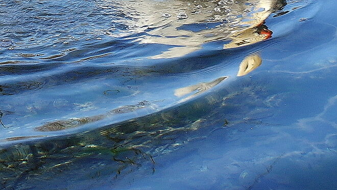 "VORBEIZIEHENDER SCHWAN"