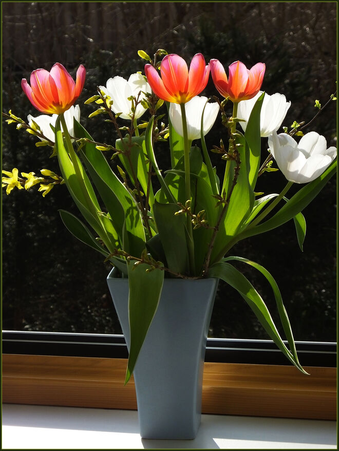 Ein Blumenstrauß gegen die Tristesse des heutigen Tages!