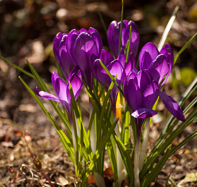 Als gestern die Sonne schien...