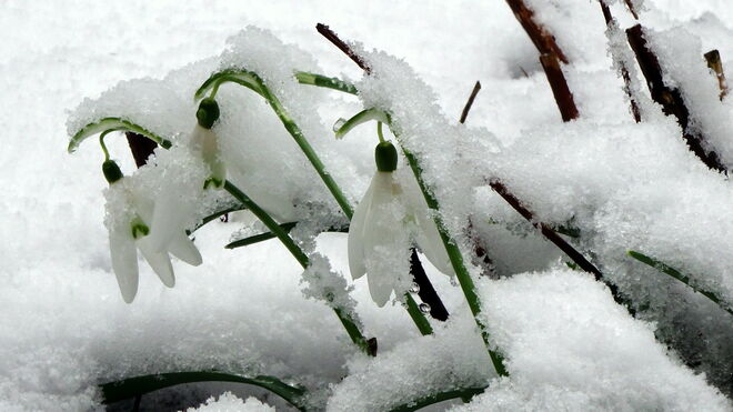 Wir halten zusammen...