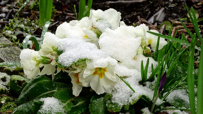 Immer noch einen Durchblick...
