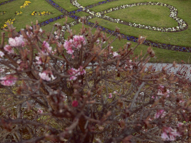 Herzlichen Gruß von ....