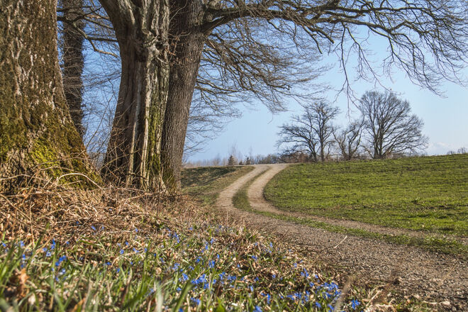 Gestern war Frühling