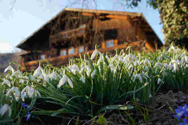 Pinzgauer Frühlingsbeginn in St.Anton | FOTOBLOG SN.at