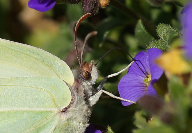 das schmeckt aber gut.