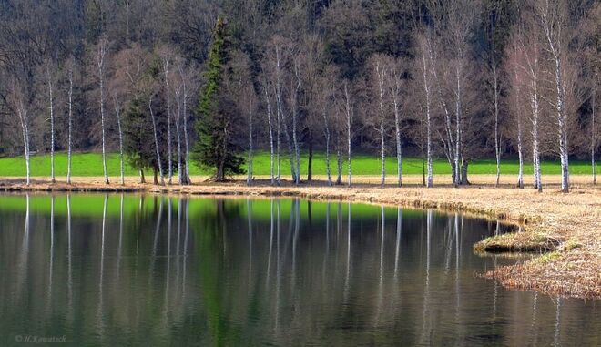 Es grünt so grün ...