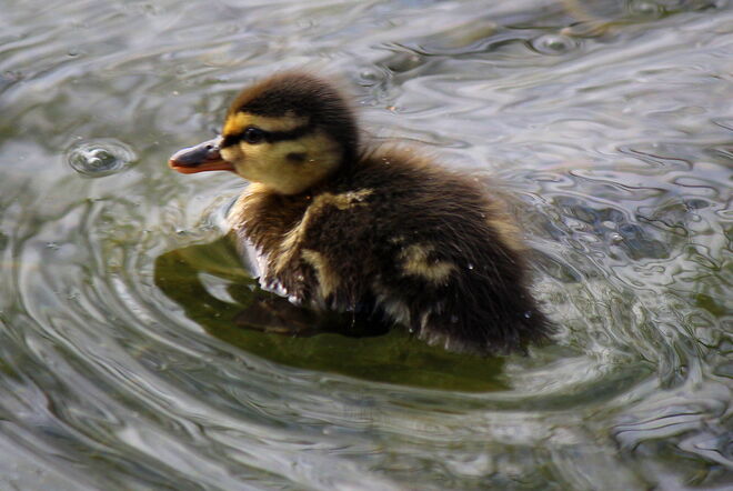 pünktlich zu Ostern...