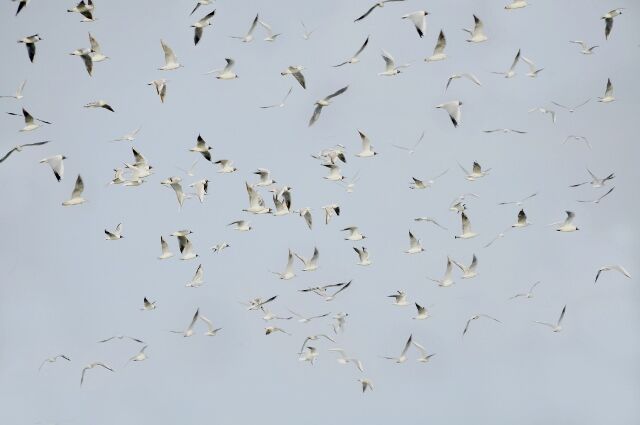 ...bereit zum Abflug?