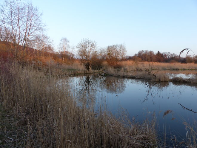 Abendlicht in Teichstätt