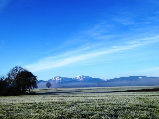 Reif, Nebel, Schnee..