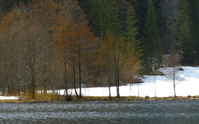Frühling gegen Herbst und Winter