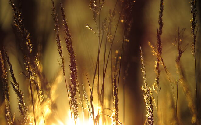 Abendlicher Lichtbick