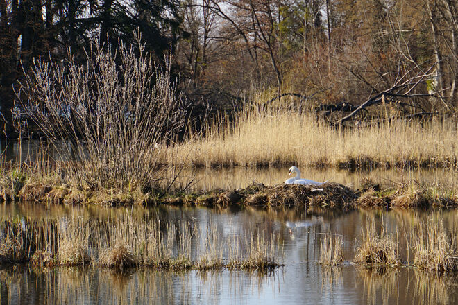 Ein geschütztes Platzerl