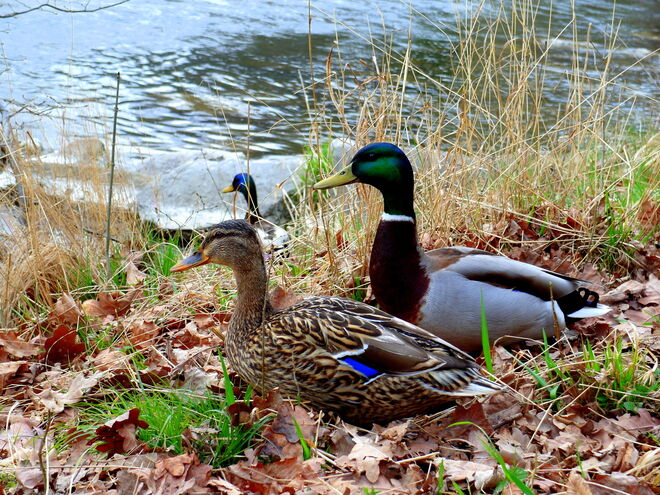 "Verliebt, verlobt oder verheiratet?"